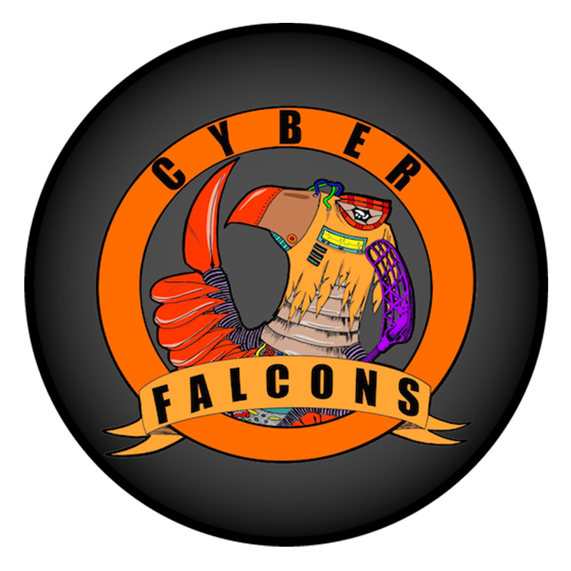 Cyber Falcons